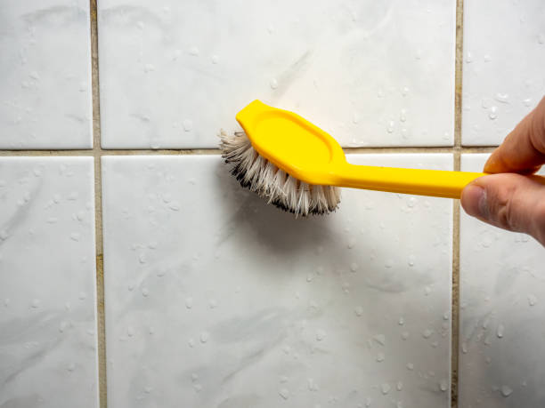 Best Local Mold Removal Service  in Cabot, AR