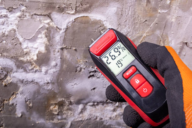 Best Residential Mold Removal  in Cabot, AR